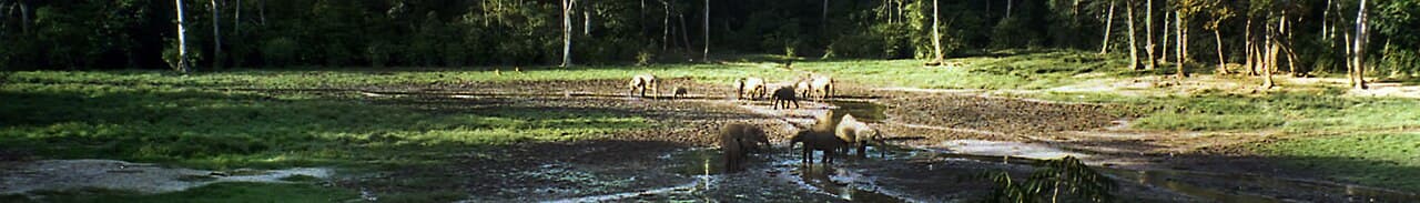 Central African Republic landscape