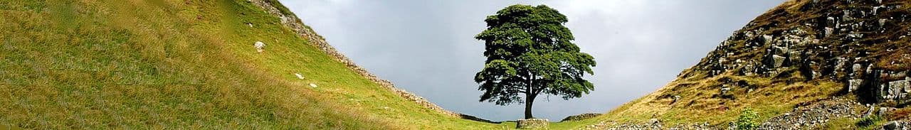 United Kingdom