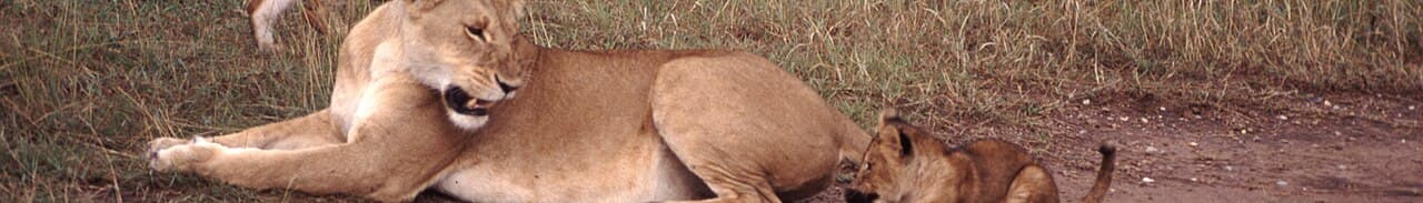 Kenya