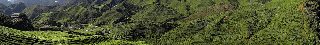 Malaysia