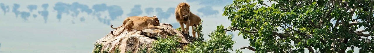 Uganda