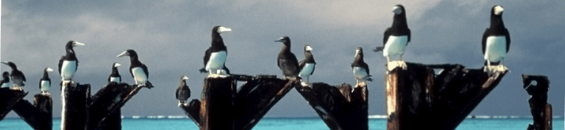 United States Minor Outlying Islands