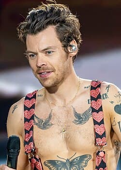Harry Styles Numerology β Life Path, Destiny Number & Compatible Countries