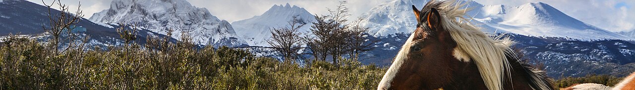 Argentina landscape