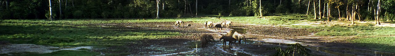 Central African Republic landscape