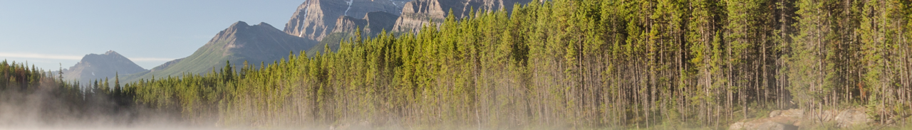 Canada landscape