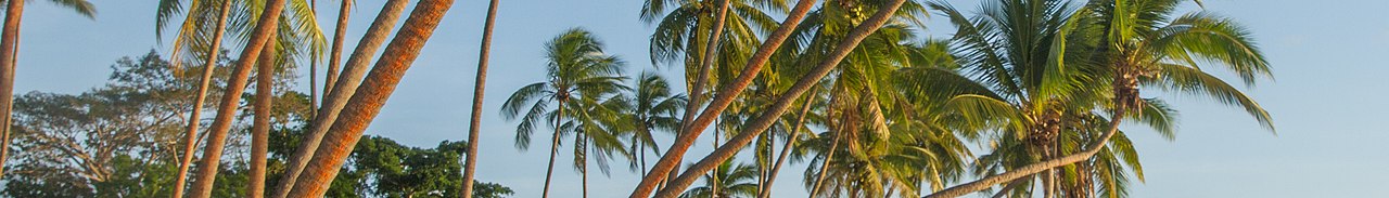 Fiji landscape