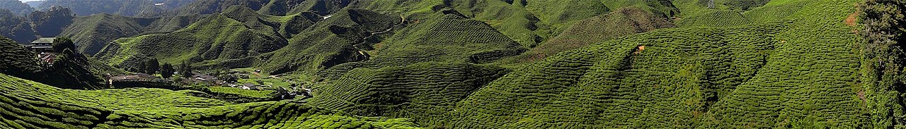 Malaysia landscape