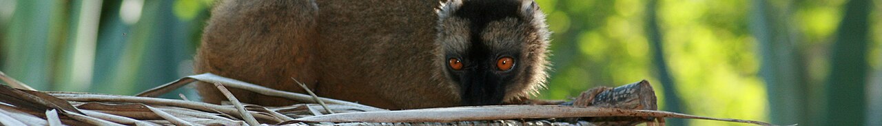 Mayotte