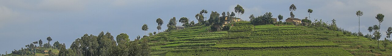 Rwanda landscape