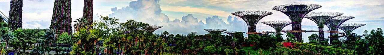 Singapore landscape